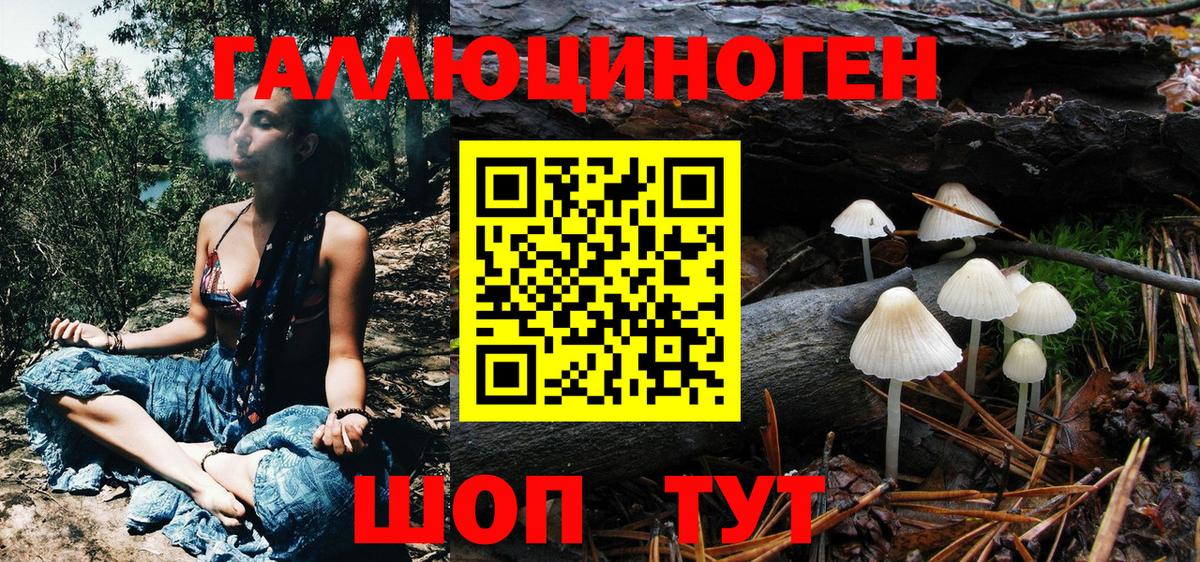 Псилоцибиновые грибы GOLDEN TEACHER  Вход с VPN  Псилоцибиновые грибы Psilocybine cubensis  Алапаевск 